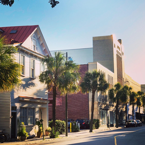 A Charleston street lined with palmetto trees and historic buildings